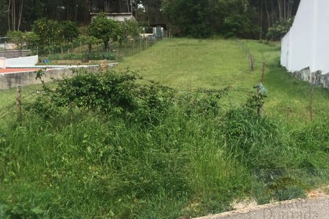 Helårsgrund i Coimbra, Coimbra, Coimbra - € 68.000 | Ref: 14991 - foto 4