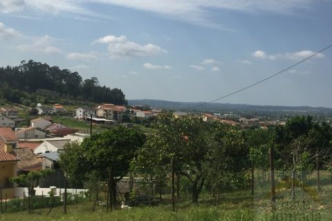 Helårsgrund i Coimbra, Coimbra, Coimbra - € 68.000 | Ref: 14991 - foto 6