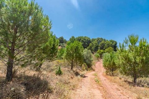 Terra a Ardales, Malaga, Ardales - € 57.500 | Ref: FP001 - foto 2