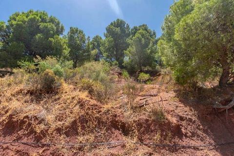 Terra a Ardales, Malaga, Ardales - € 57.500 | Ref: FP001 - foto 3