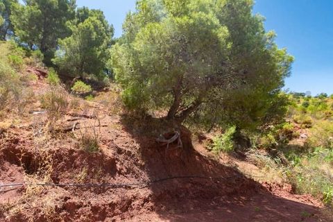 Terra a Ardales, Malaga, Ardales - € 57.500 | Ref: FP001 - foto 4
