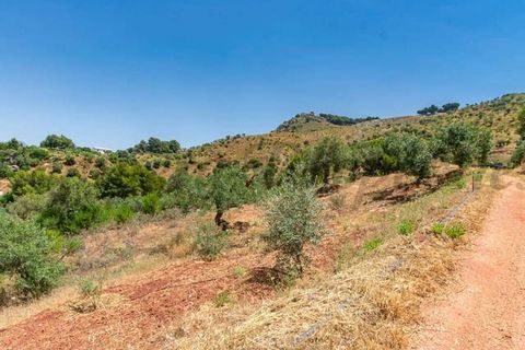 Terra a Ardales, Malaga, Ardales - € 57.500 | Ref: FP001 - foto 5