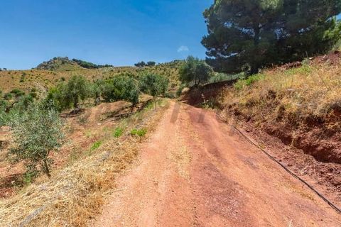 Terra a Ardales, Malaga, Ardales - € 57.500 | Ref: FP001 - foto 7