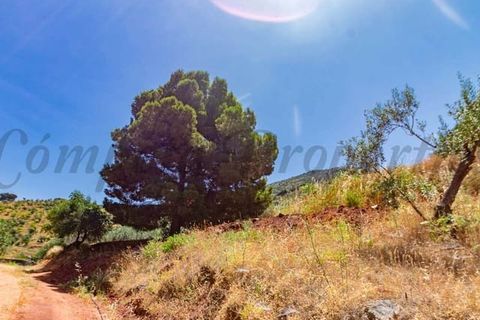 Terra a Ardales, Malaga, Ardales - € 57.500 | Ref: FP001 - foto 8