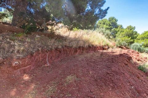 Terra a Ardales, Malaga, Ardales - € 57.500 | Ref: FP001 - foto 9