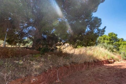 Terra a Ardales, Malaga, Ardales - € 57.500 | Ref: FP001 - foto 10