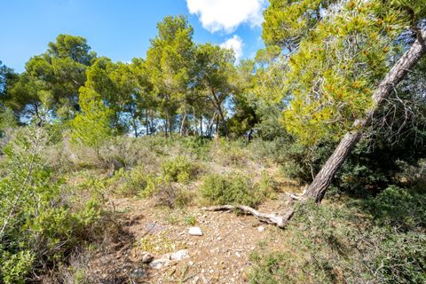 Villa a Calvia, Mallorca, Calvia - € 2.300.000 | Ref: BGMM1011/3010 - foto 3