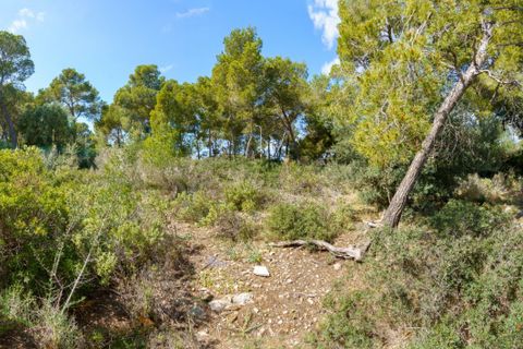 Villa a Calvia, Mallorca, Calvia - € 2.300.000 | Ref: BGMM1011/3010 - foto 5