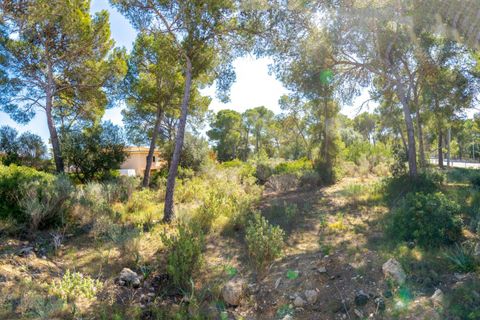 Villa a Calvia, Mallorca, Calvia - € 2.300.000 | Ref: BGMM1011/3010 - foto 6