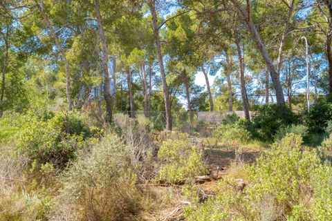 Villa a Calvia, Mallorca, Calvia - € 2.300.000 | Ref: BGMM1011/3010 - foto 7