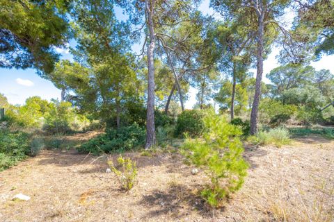 Villa a Calvia, Mallorca, Calvia - € 2.300.000 | Ref: BGMM1011/3010 - foto 8