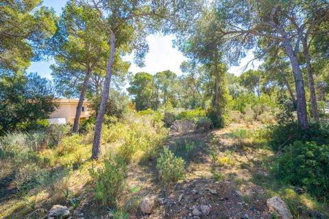 Villa a Calvia, Mallorca, Calvia - € 2.300.000 | Ref: BGMM1011/3010 - foto 9