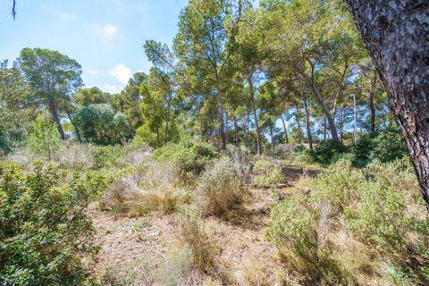 Villa a Calvia, Mallorca, Calvia - € 2.300.000 | Ref: BGMM1011/3010 - foto 11