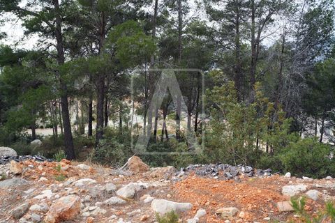 Helårsgrund i Altea, Alicante, Altea - € 3.200.000 | Ref: PAT0004 - foto 5
