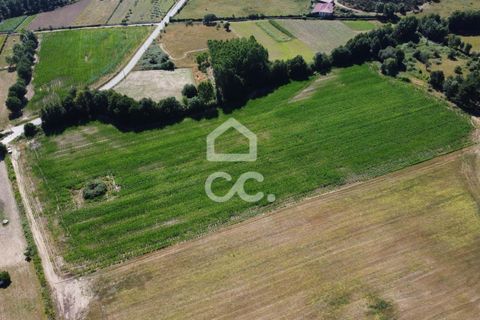 Farm hus i Chaves, Vila Real, Chaves - € 850.000 | Ref: 322/Q/01311 - foto 17