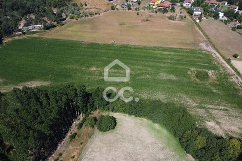 Farm hus i Chaves, Vila Real, Chaves - € 850.000 | Ref: 322/Q/01311 - foto 21