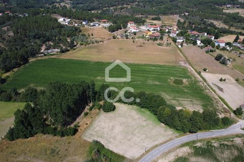 Farm hus i Chaves, Vila Real, Chaves - € 850.000 | Ref: 322/Q/01311 - foto 22