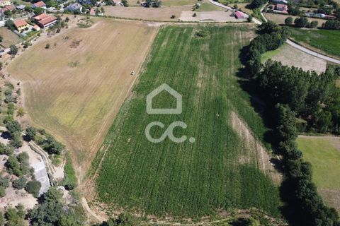 Farm hus i Chaves, Vila Real, Chaves - € 850.000 | Ref: 322/Q/01311 - foto 23