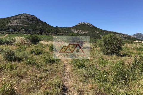 Helårsgrund i Calvi, Haute-Corse, Calvi - € 324.000 | Ref: 5744953 - foto 1