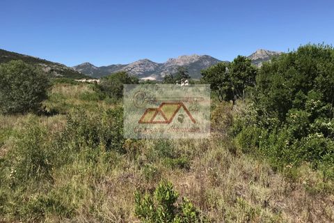 Helårsgrund i Calvi, Haute-Corse, Calvi - € 324.000 | Ref: 5744953 - foto 2
