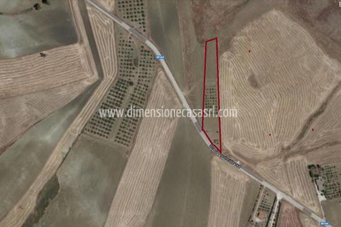 Helårsgrund i Caltanissetta, Caltanissetta, Caltanissetta - € 29.000 | Ref: TA41 - foto 2