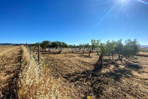 Helårsgrund i Caltanissetta, Caltanissetta, Caltanissetta - € 29.000 | Ref: TA41 - foto 3