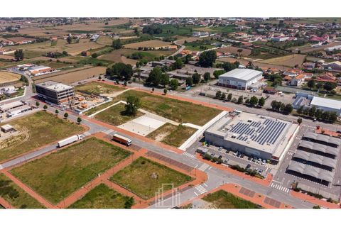Helårsgrund i Estarreja, Aveiro, Estarreja - € 252.000 | Ref: 425 (48) - foto 4