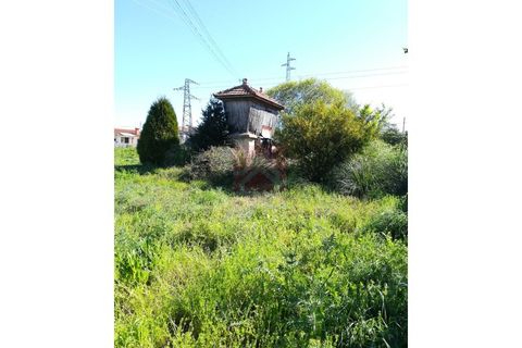 Tomt i Esmoriz, Aveiro, Esmoriz - € 260 000 | Ref: 0446/19 - foto 2