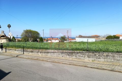 Tomt i Esmoriz, Aveiro, Esmoriz - € 260 000 | Ref: 0446/19 - foto 3