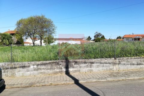 Tomt i Esmoriz, Aveiro, Esmoriz - € 260 000 | Ref: 0446/19 - foto 4