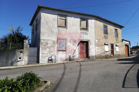 Tomt i Esmoriz, Aveiro, Esmoriz - € 260 000 | Ref: 0446/19 - foto 5