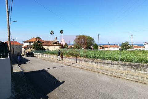 Villa a Esmoriz, Aveiro, Esmoriz - € 240.000 | Ref: 0447/19 - foto 5