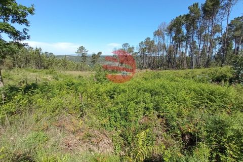 Helårsgrund i Calde, Viseu, Calde - € 50.000 | Ref: VM1985 - foto 3
