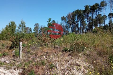 Helårsgrund i Calde, Viseu, Calde - € 50.000 | Ref: VM1985 - foto 5