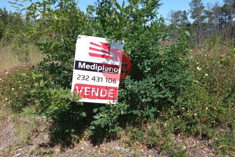 Helårsgrund i Calde, Viseu, Calde - € 50.000 | Ref: VM1985 - foto 6