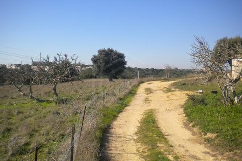 Gård i Albufeira, Faro, Albufeira - € 2 500 000 | Ref: 02/Q/00718 - foto 6