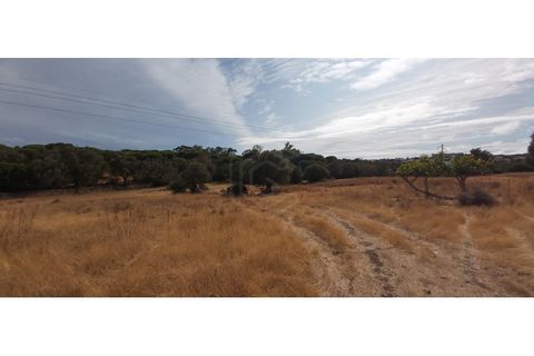 Gård i Albufeira, Faro, Albufeira - € 2 500 000 | Ref: 02/Q/00718 - foto 13