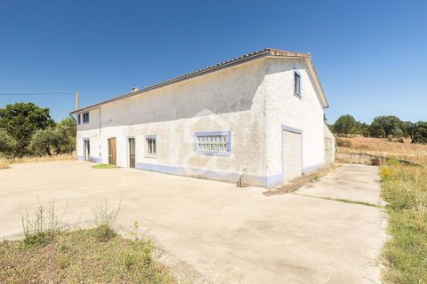 Gårdshus i Mora, Evora, Mora - € 340 000 | Ref: 318/Q/02638 - foto 26