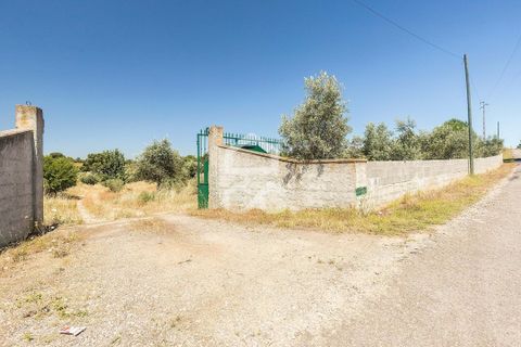 Gårdshus i Mora, Evora, Mora - € 340 000 | Ref: 318/Q/02638 - foto 41