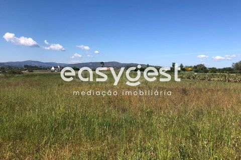 Helårsgrund i Fundao, Castelo Branco, Fundao - € 82.500 | Ref: CB83060MA - foto 7