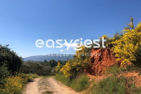 Helårsgrund i Fundao, Castelo Branco, Fundao - € 82.500 | Ref: CB83060MA - foto 9