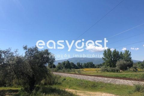 Helårsgrund i Fundao, Castelo Branco, Fundao - € 82.500 | Ref: CB83060MA - foto 12