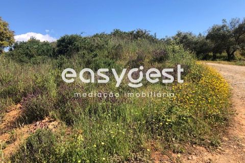 Helårsgrund i Fundao, Castelo Branco, Fundao - € 82.500 | Ref: CB83060MA - foto 14