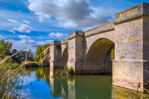 Palencia-provinsen
