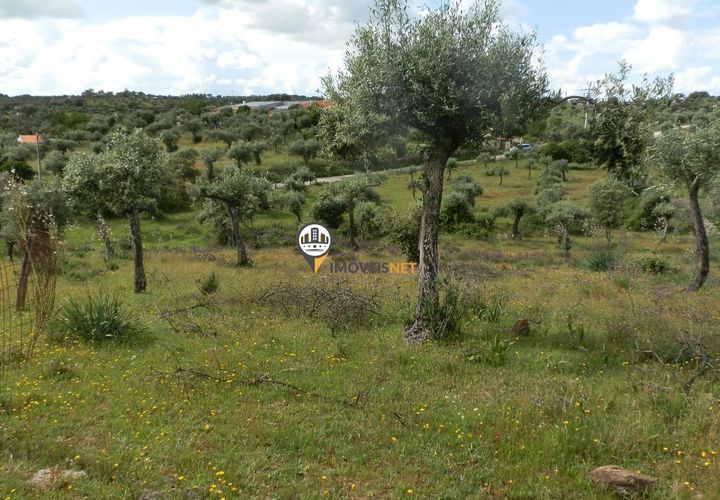 Helårsgrund i Castelo Branco, Castelo Branco, Castelo Branco - € 9.000 | Ref: 2314 - foto 1