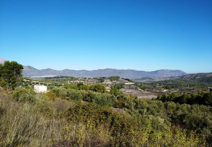 Tomt i Benillup, Alicante, Benillup - € 35 000 | Ref: 8168 - foto 1