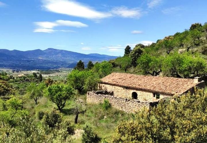 Finca i Benasau, Alicante, Benasau - € 49.000 | Ref: 2803 - foto 1