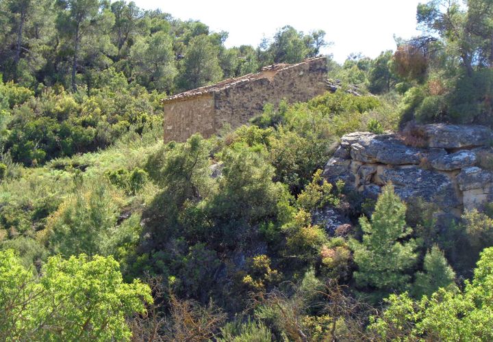 Finca i Maella, Zaragoza, Maella - € 17.500 | Ref: 0725 - foto 1