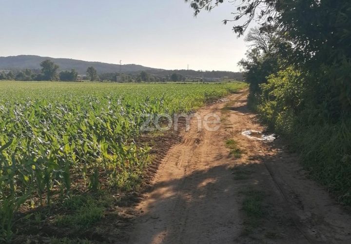 Grond in Braga, Braga, Braga - € 30.000 | Ref: ZMPT545705 - foto 1