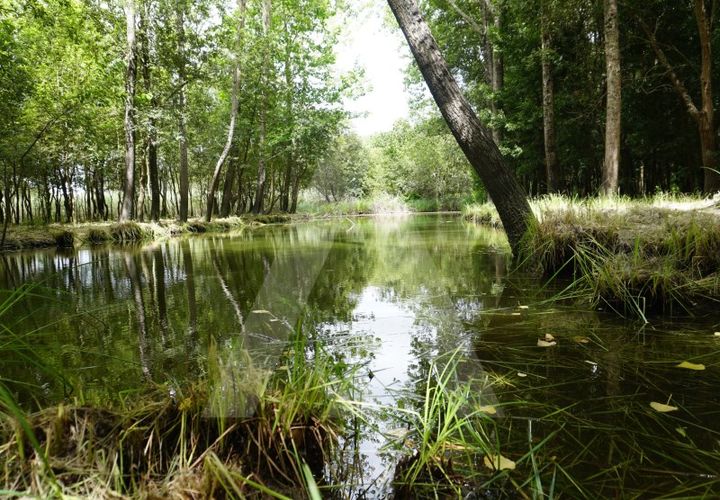 Helårsgrund i Eixo e Eirol, Aveiro, Eixo e Eirol - € 100.000 | Ref: 1011164/21 GL - foto 1